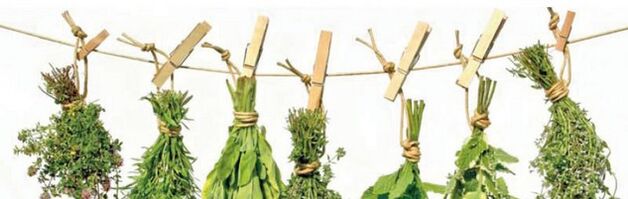 Effective herbs of prostatitis